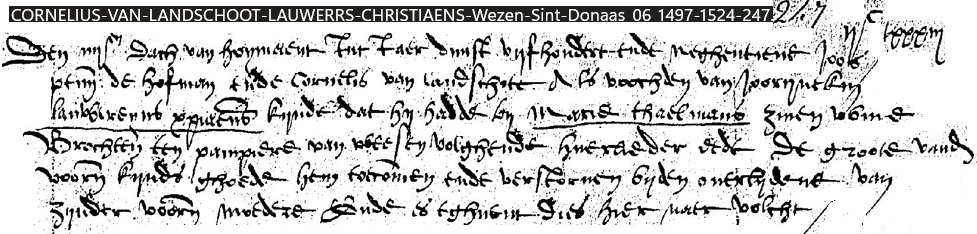 Titelbeeld voor Joorijntken Christiaens, voogdij en weesinschrijving 1518–1519